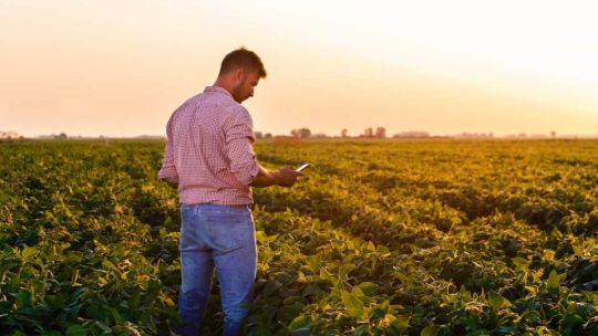 Santander y Galicia se asocian en una plataforma agropecuaria de US$ 1.200 millones